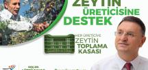 BÜYÜKŞEHİR’DEN ÜRETİCİYE ZEYTİN TOPLAMA KASASI