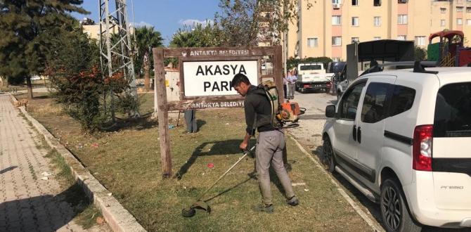 AKASYA MAHALLESİ AKASYA PARKI’NDA  ÇİM BİÇME VE AĞAÇ BUDAMA ÇALIŞMALARI