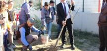 SAMANDAĞ’DA OKUL BAHÇELERİ AĞAÇLANDIRILIYOR