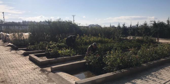 BİTKİ ÜRETİM MERKEZİ’NDE ÇALIŞMALAR DEVAM EDİYOR