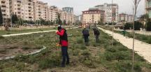 PARKLARDA YABANİ OTLAR İLAÇLANARAK KURUTULUYOR