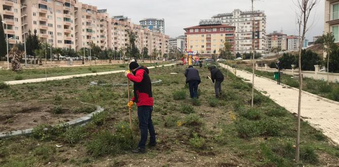 PARKLARDA YABANİ OTLAR İLAÇLANARAK KURUTULUYOR