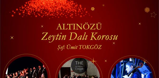 TED HATAY KOLEJİ KONSER DAVETİ