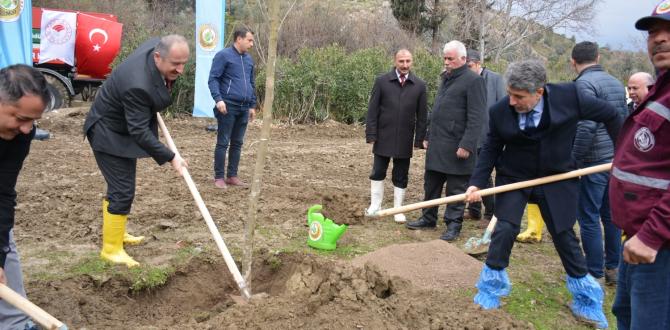 MİLLETVEKİLİ YAYMAN KAYMAKAM KARAMEHMETOĞLU VE BAŞKAN YAVUZ KIRIKHAN’DA 10 BİN ÇAM AĞACI DİKME KAMPANYASINI BAŞLATTI