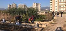 BİTKİ ÜRETİM MERKEZİ’NDE ÇALIŞMALAR DEVAM EDİYOR