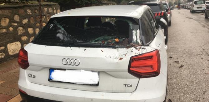 RIZA EFENDİ ÇAMLIĞI AĞAÇ BUDAMA ÇALIŞMASI HAKKINDA