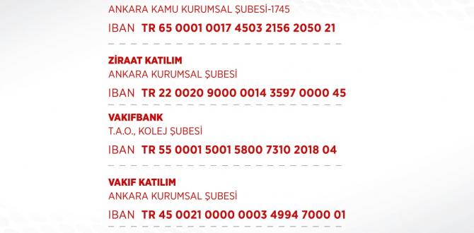 BİZ BİZE YETERİZ TÜRKİYEM
