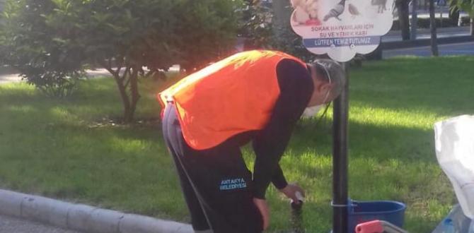 ANTAKYA BELEDİYESİ SOKAK HAYVANLARI İÇİN MAMA VE SU BIRAKTI