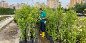 BİTKİ ÜRETİM MERKEZİ’NDE ÇALIŞMALAR DEVAM EDİYOR