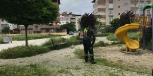 PARKLARDA ÇİM BİÇME VE BAKIM ÇALIŞMALARI