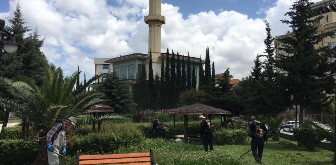 PARKLARDA ÇİM BİÇME VE BAKIM ÇALIŞMALARI
