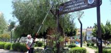 Akdeniz’de park ve yeşil alanlar ilaçlanıyor