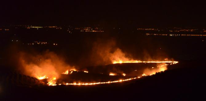 Hatay’da boş arazide yangın