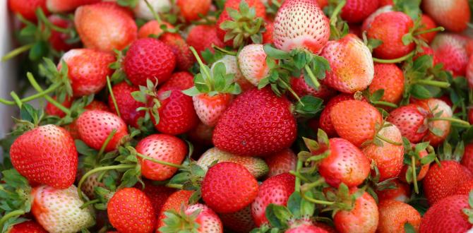 Yayladağı çileği Suriyeli Türkmenlerin ekmek kapısı oldu