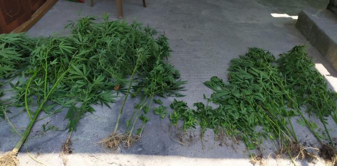 Dörtyol’da uyuşturucu operasyonu