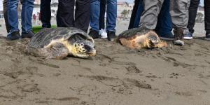 “Mersin” ve “Pençe” özgürlüklerine kavuştu
