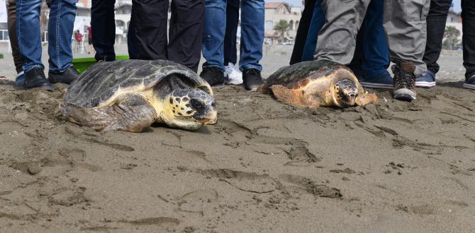 “Mersin” ve “Pençe” özgürlüklerine kavuştu