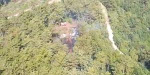 Payas’ta orman yangını