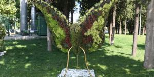 HAYVAN FİGÜRLÜ BİTKİLERLE PARKLAR RENKLENDİRİLİYOR