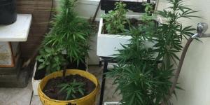 DÖRTYOL UYUŞTURUCU MADDE