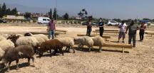 KURBAN BAYRAMI EMNİYET TEDBİRİ