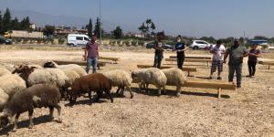 KURBAN BAYRAMI EMNİYET TEDBİRİ