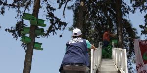 ANTAKYA BELEDİYESİ’NDEN AĞAÇLARA KUŞ YUVALARI