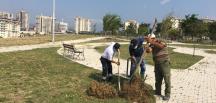 ANTAKYA BELEDİYESİ PARKLARI AĞAÇLANDIRIYOR