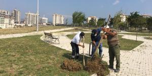 ANTAKYA BELEDİYESİ PARKLARI AĞAÇLANDIRIYOR