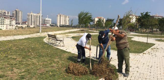 ANTAKYA BELEDİYESİ PARKLARI AĞAÇLANDIRIYOR