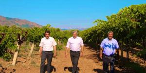 HASSA YÖRESEL ÜRÜNLER PAZARI KURULDU..