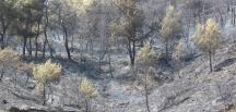 Hatay’daki orman yangını kontrol altına alındı