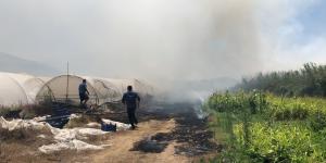 Hatay’da ot yangını seraları yaktı