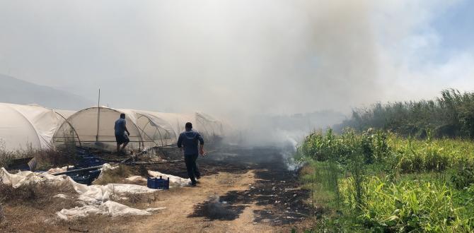 Hatay’da ot yangını seraları yaktı