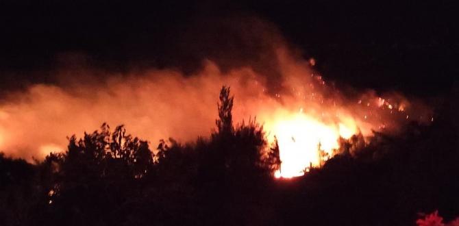 Hatay’da zirai alanda çıkan yangın korkuttu