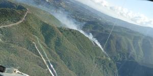 Hatay’da orman yangını