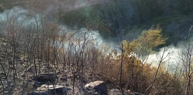Amanos Dağları’ndaki yangın söndürüldü