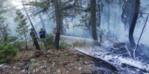 Kahramanmaraş orman bölge sınırlarında 155 yangın çıktı