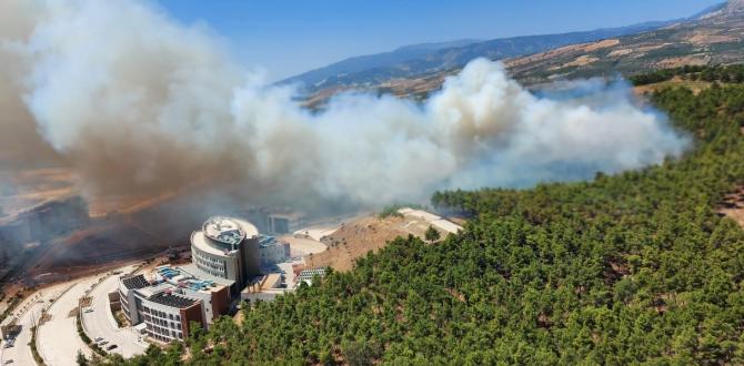 Mesire alanı alevlere teslim oldu