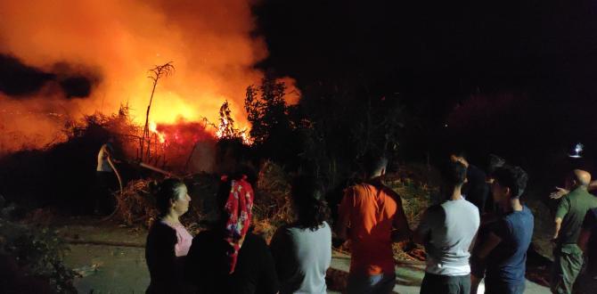 Kamışlık alandaki yangın korkuttu