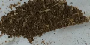 Parfüm şişesinden eroin çıktı