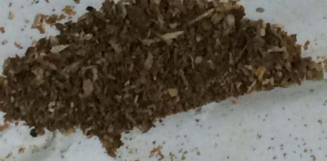 Parfüm şişesinden eroin çıktı