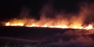 Kopan elektrik telleri bahçede yangın çıkardı