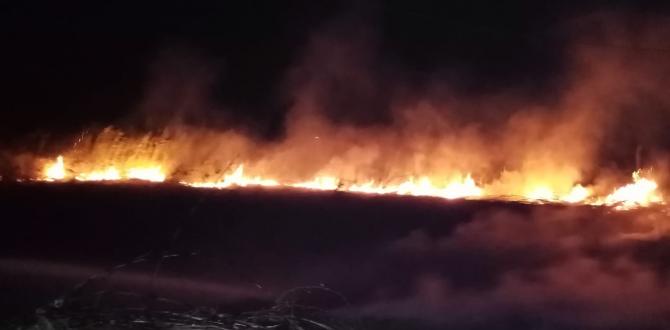 Kopan elektrik telleri bahçede yangın çıkardı