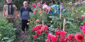 Anavatanı Meksika, Amanoslar’da yetişiyor