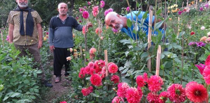 Anavatanı Meksika, Amanoslar’da yetişiyor