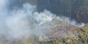 Hatay’daki orman yangınında 2 hektarlık alan zarar gördü
