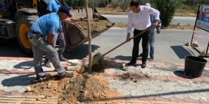 BAŞKAN ERYILMAZ YAŞAR KEMAL CADDESİ’NDE AĞAÇLANDIRMA ÇALIŞMALARINI YERİNDE İNCELEDİ