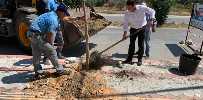 BAŞKAN ERYILMAZ YAŞAR KEMAL CADDESİ’NDE AĞAÇLANDIRMA ÇALIŞMALARINI YERİNDE İNCELEDİ