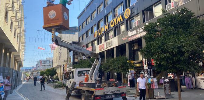 HÜRRİYET (SARAY) CADDESİ AYDINLATMA SİSTEMLERİNDE BAKIM ÇALIŞMALARI